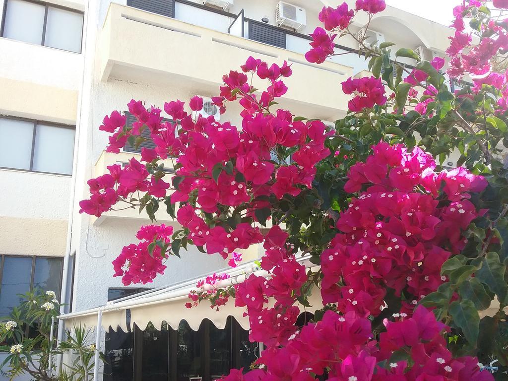 Esperides Hotel Ierápetra Buitenkant foto