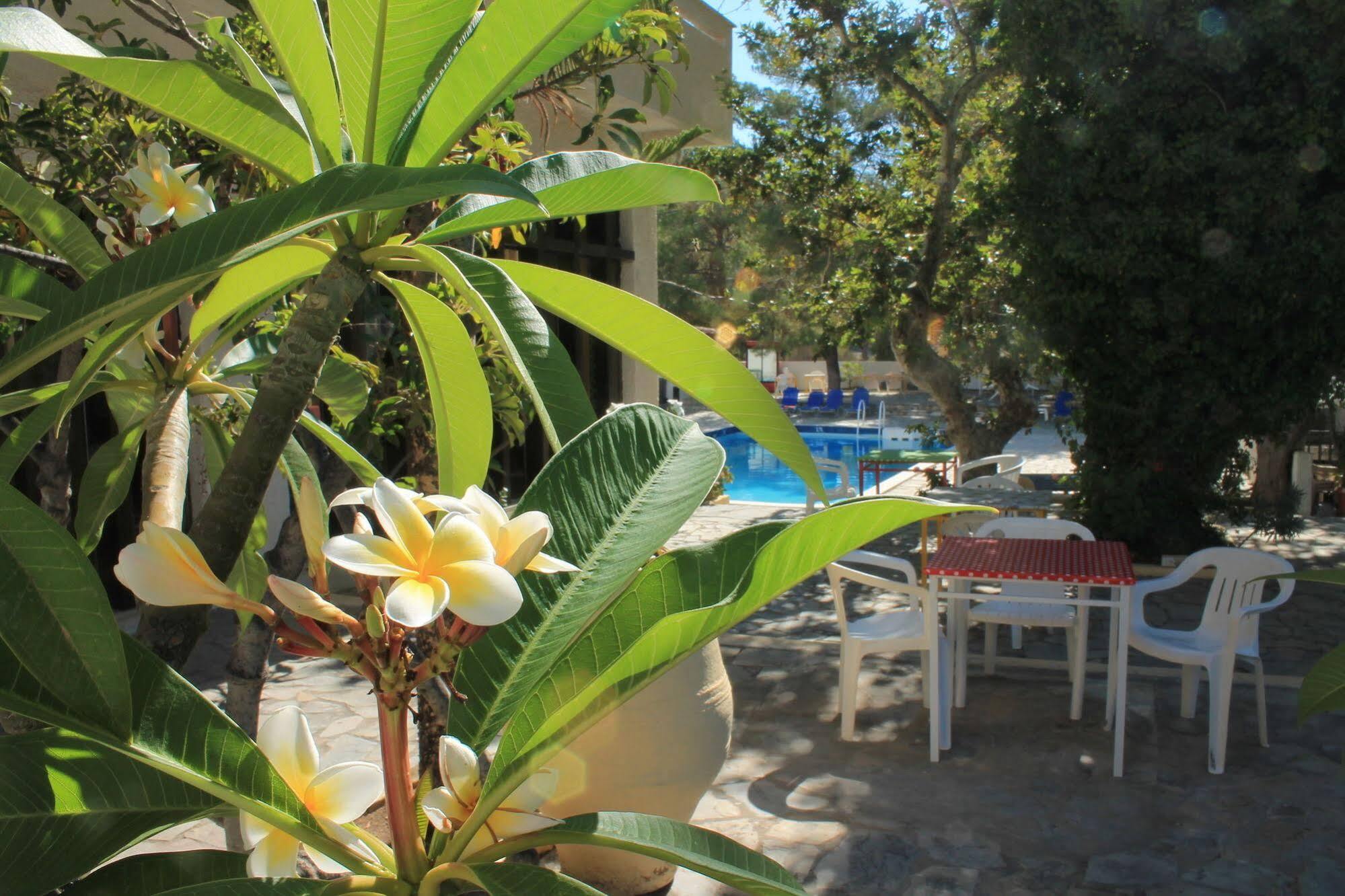 Esperides Hotel Ierápetra Buitenkant foto